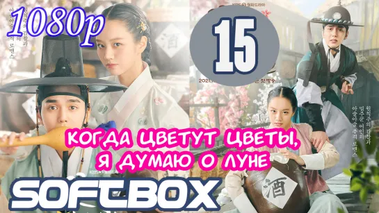 Когда цветут цветы, я думаю о луне 15 серия ( Озвучка SoftBox )