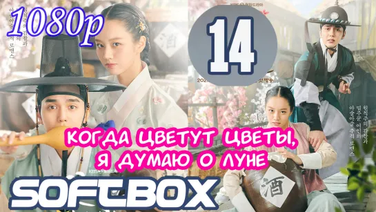 Когда цветут цветы, я думаю о луне 14 серия ( Озвучка SoftBox )