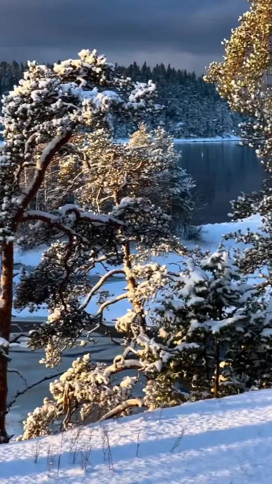 Видео от Валаамский монастырь