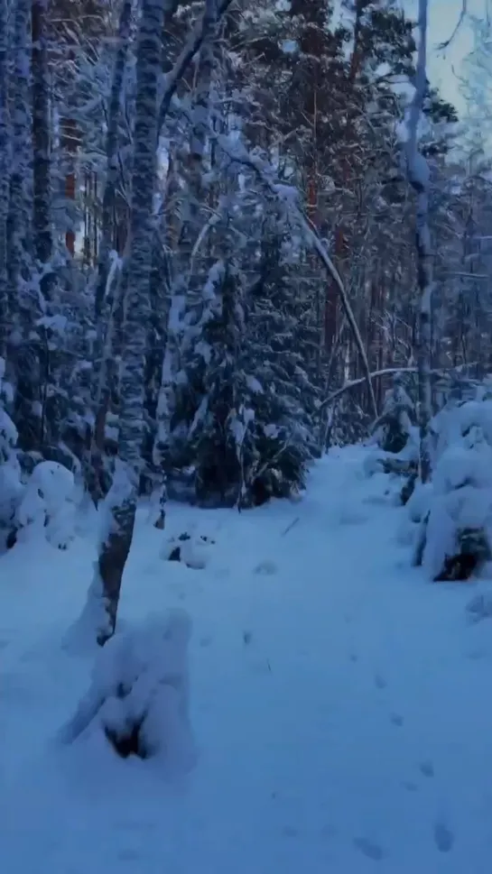 Видео от Валаамский монастырь