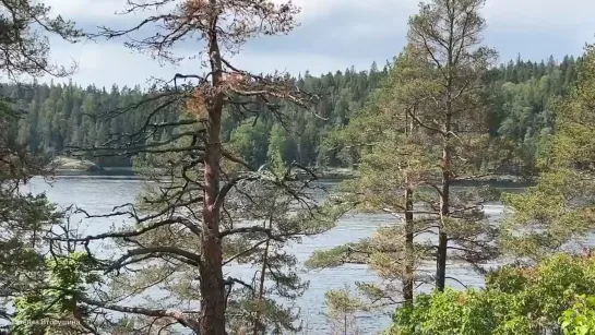 Видео от Валаамский монастырь