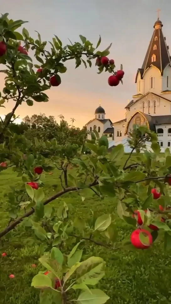 Видео от Валаамский монастырь