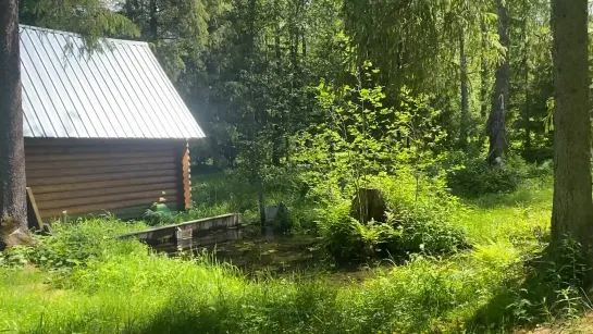 Видео от Антона Раскольникова