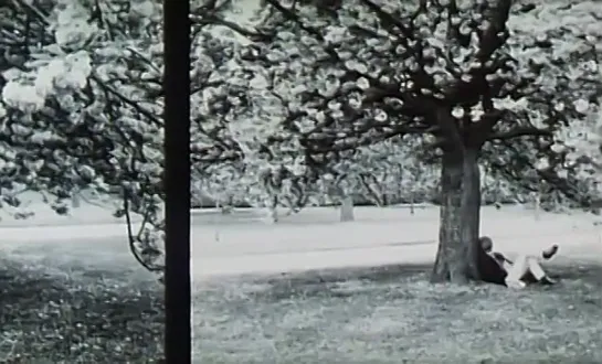 Контрольные отпечатки / Contacts: Эдуард Буба (Edouard Boubat)