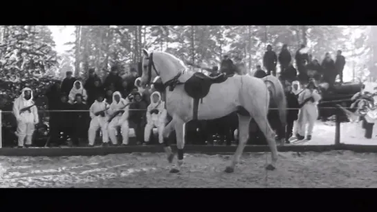 «Годен к нестроевой», СССР, 1968 г.