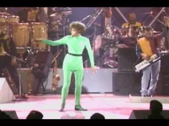 Whitney Houston: Live in Concert (Norfolk, 31.03.1991)