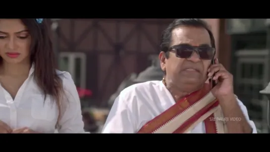 Iddarammayilatho Movie Brahmanandam Comedy  Allu Arjun, Amala Paul  Sri Balaji Video