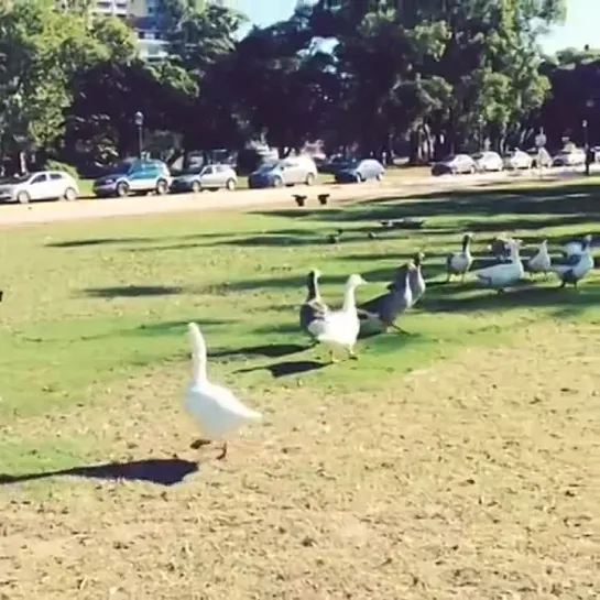 140413 bumkeyk instagram