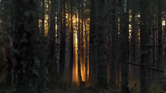 Видео от Кино для всех и про каждого!