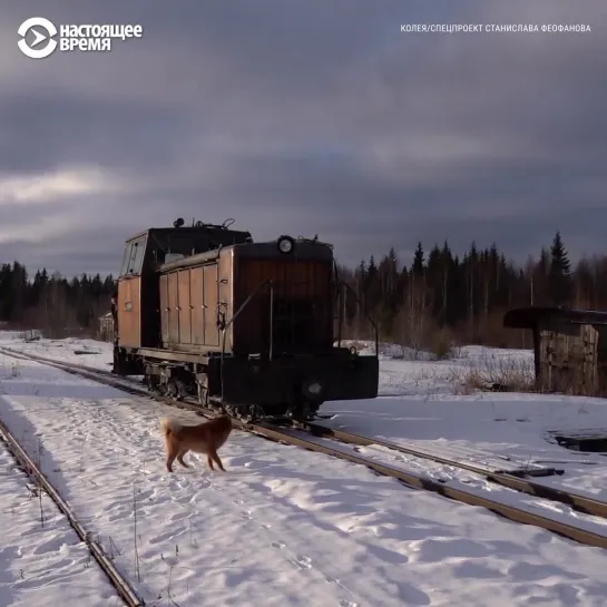 Колея – дорога жизни