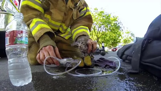 Deep House presents:  GoPro  Fireman Saves Kitten  [HD 720]