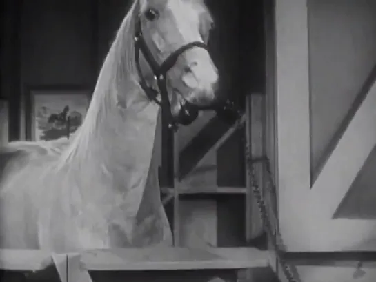 Mister Ed Especial VOSE