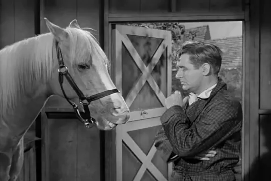 Mister Ed 4x23 - (latino)