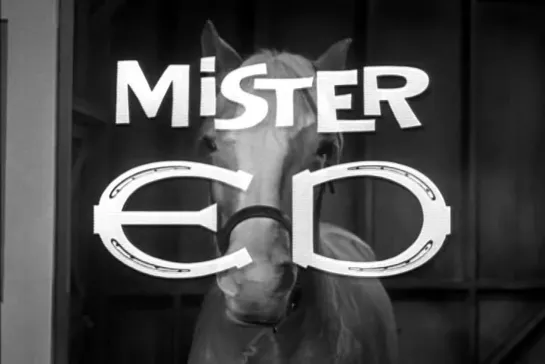 Mister Ed 1x04  - VOSE