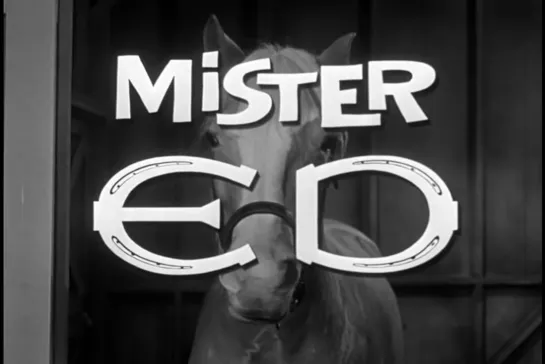 Mister Ed 1x11 (latino sincronizado)