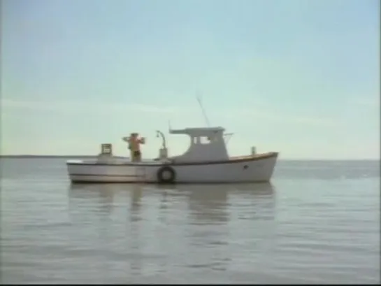 Flipper - 2x21