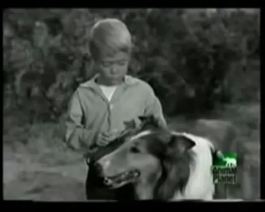 Lassie 4x16