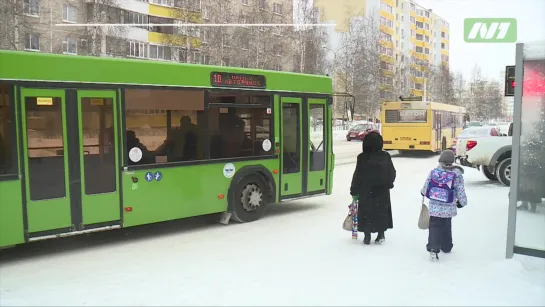 Автобусы теперь будут ходить и на Салманова