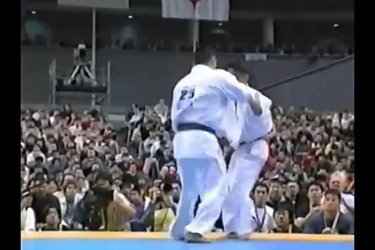 НАРУШИМА РЮ - NARUSHIMA RYU