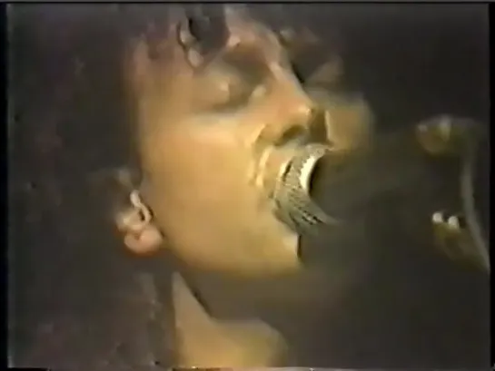 Wishbone Ash - Parkzicht Rotterdam 1984