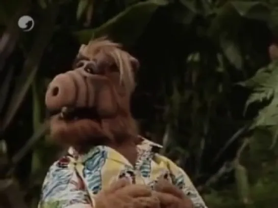 Alf 2x02 latino