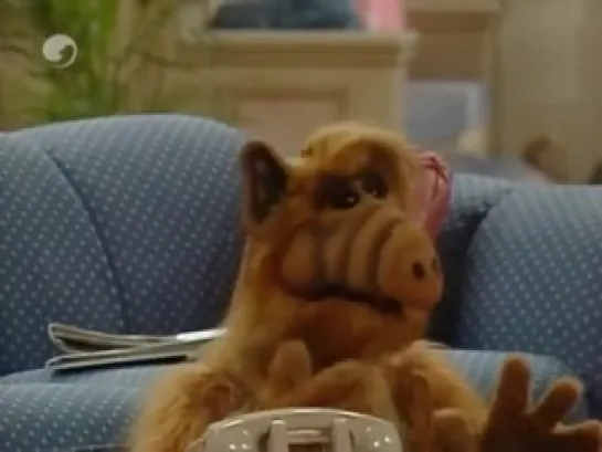 Alf - 1x23 latino