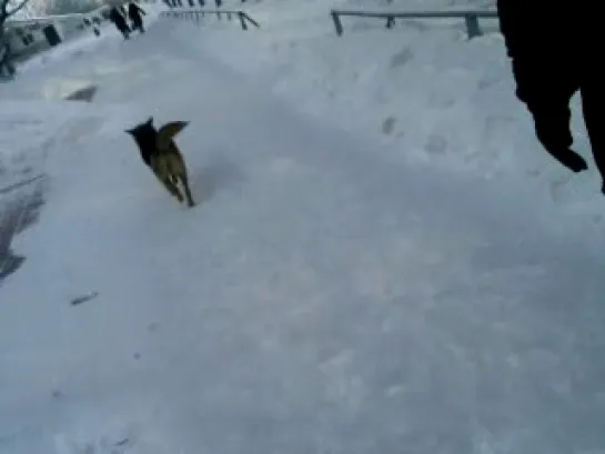 Видео от Станислава Либшера