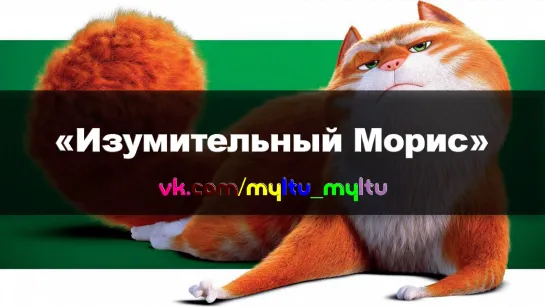 ~МУЛЬТИ~ | МУЛЬТФИЛЬМЫ | МУЛЬТСЕРИАЛЫ ツ (мультфильм отзеркален)