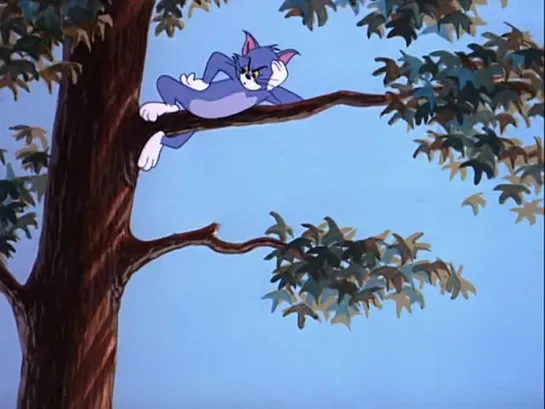 Tom and Jerry - 076 - Мой малыш / That’s My Pup! (1953)