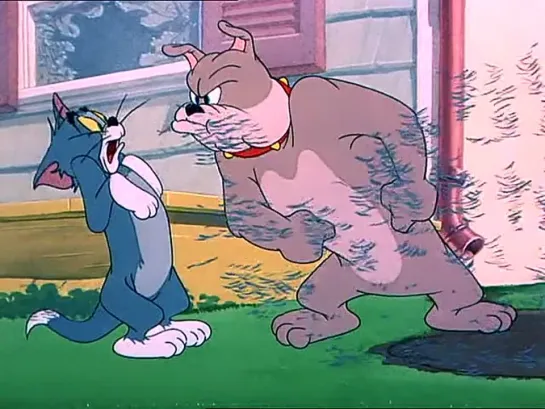 Tom and Jerry - 060 - Вымытый щенок / Slicked-up Pup (1951)