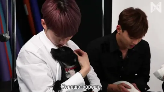 [Рус.саб] [02.08.2018] Plays With Puppies While Answering Fan Questions (interview with Monsta X)