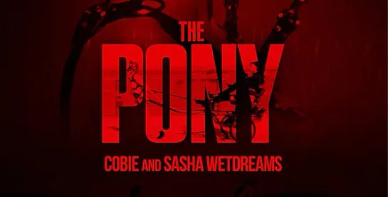 The Pony 2