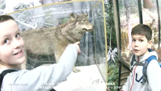 Клуб Тэнгу Про в Мурманском Областном Краеведческом Музее. Видео https://vk.com/oyama_mas