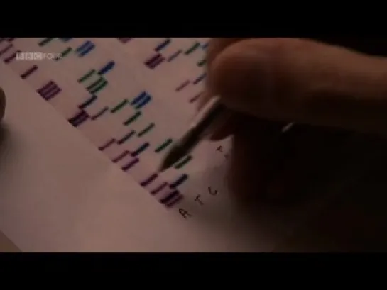 BBC: The Gene Code. Unlocking The Code (2011) 2 of 2