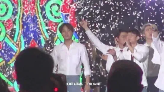 [FANCAM] 150905 Kai @ DMC Kpop Festival