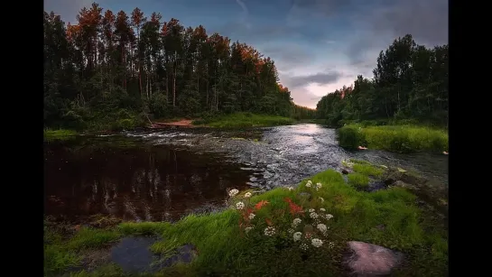 Сплин ღ Тепло родного дома.