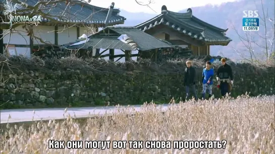 [DORAMA: RUS SUB] Modern Farmer\Современный фермер эп.9