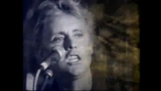 Roger Taylor