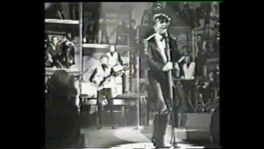 THE ANIMALS, Jerry Lee Lewis, Gene Vincent, Little Richard, And More - Dont Knock The Rock UK (1964, Granada TV Special)