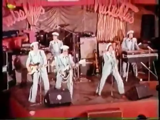 The Rubettes- Video Collection