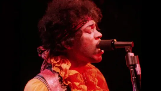 The Complete Monterey Pop Festival [The Criterion Collection]-Jimi Plays Monterey  Shake! Otis at Monterey