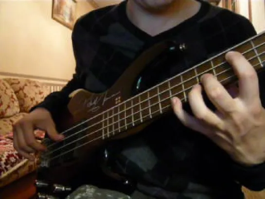 Rammstein-Seemann(Mein bass cover)