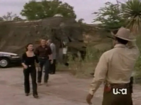 Walker, Texas Ranger, Season 8; Episode 6