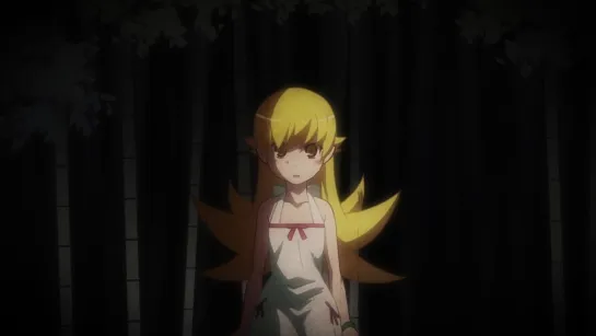 [SHIZA] Финальные истории / Owarimonogatari TV - 11 серия [2015]