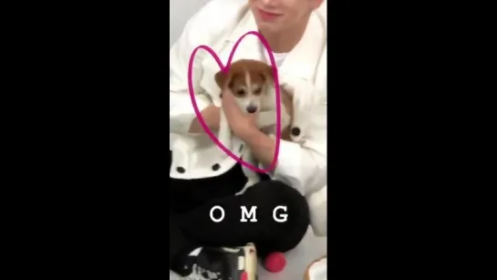 [VK][24.07.2018] MONSTAX’s Buzzfeed interview with puppies @ _vickichen Instagram Update