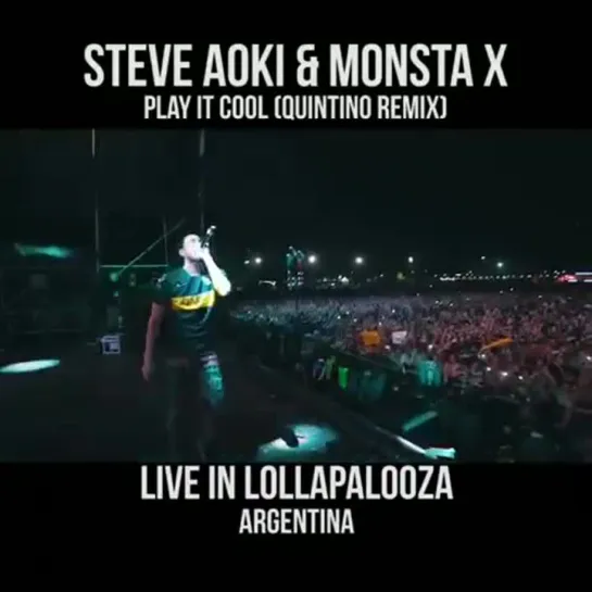 [VK][30.03.2019] steveaoki Instagram Update