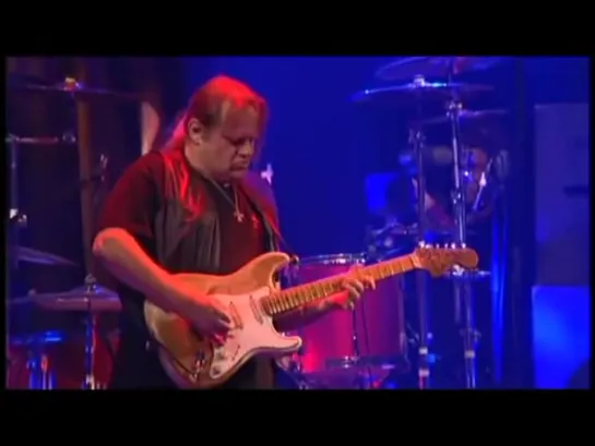 WALTER TROUT And The  Radicals (LIVE CONCERT)).Dvix dolby digital 5.1 ac3