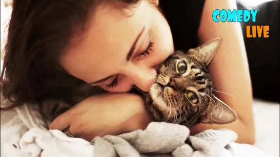 9 интересных фактов о КОШКАХ,🐈🐱😽😺  которые должен знать КАЖДЫЙ