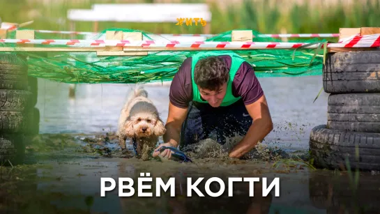 РВЁМ КОГТИ