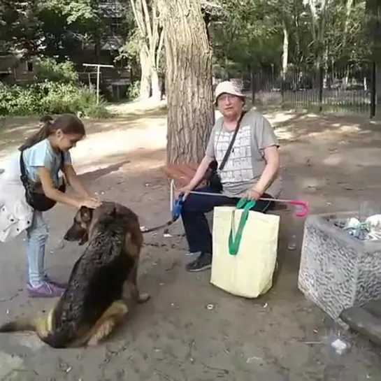 Правовой ликбез с владельцем огромного пса на детской площадке 10.7.2019 Ростов-на-Дону Главный